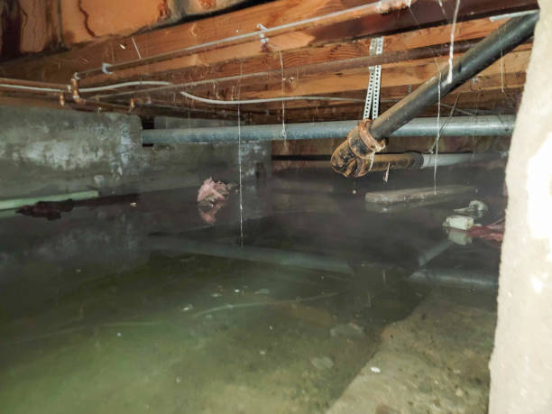 Best Water damage restoration near me  in Cornville, AZ