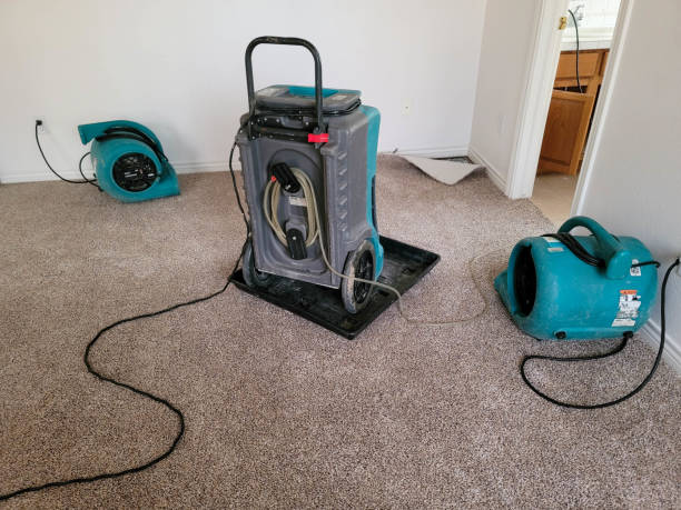 Best Flooded house restoration  in Cornville, AZ
