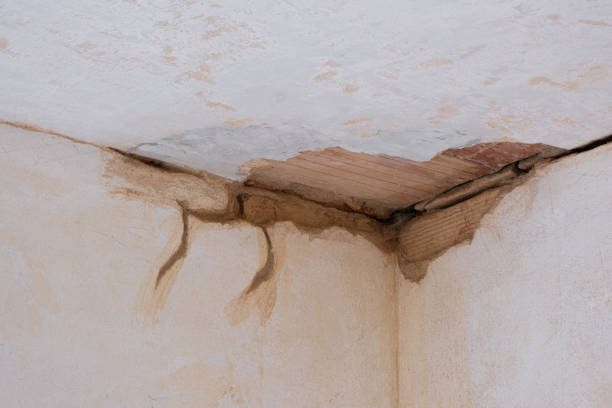 Sewage cleanup and water damage restoration in Cornville, AZ