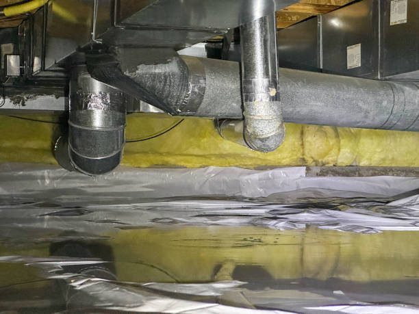 Best Ceiling water damage repair  in Cornville, AZ